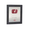 Placa Youtube